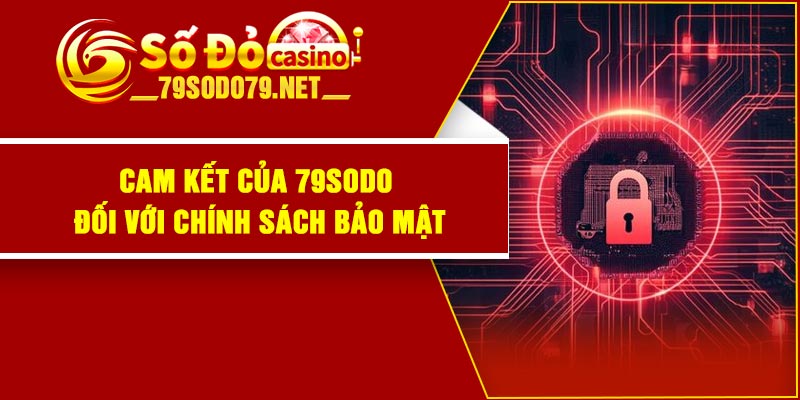 Cam kết của 79Sodo đối với chính sách bảo mật