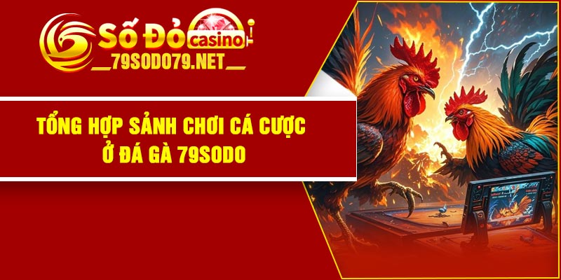 Tổng hợp sảnh chơi cá cược ở đá gà 79Sodo