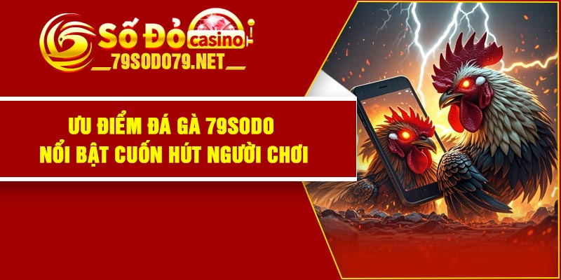 Ưu điểm đá gà 79Sodo nổi bật cuốn hút người chơi
